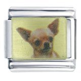 Pugster Enamel Paint Angel Chihuahua Stainless Steel X2 Dog Animal Types Italian Charm Link 